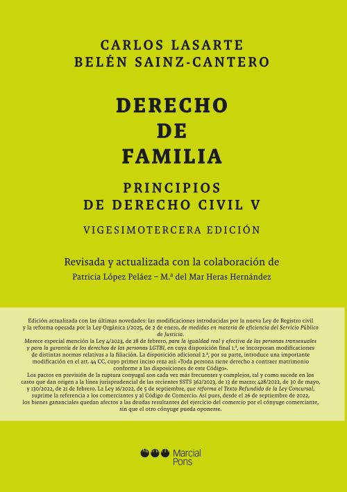 Principios de Derecho Civil. 9788413819525