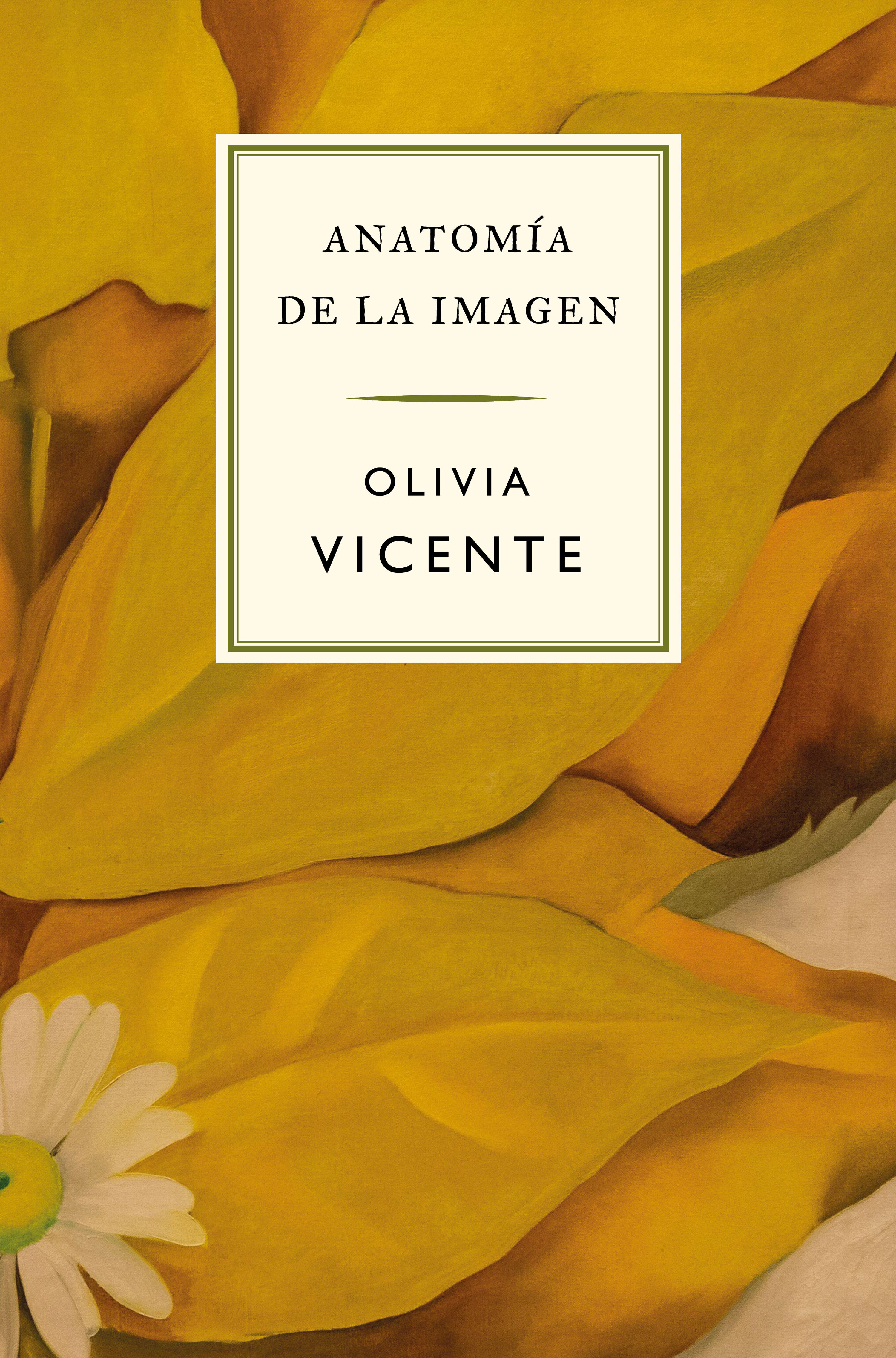Anatomía de la imagen. 9788419243683