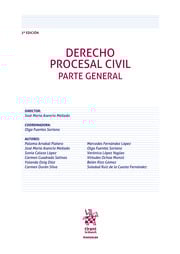 Derecho Procesal Civil. 9791370211127