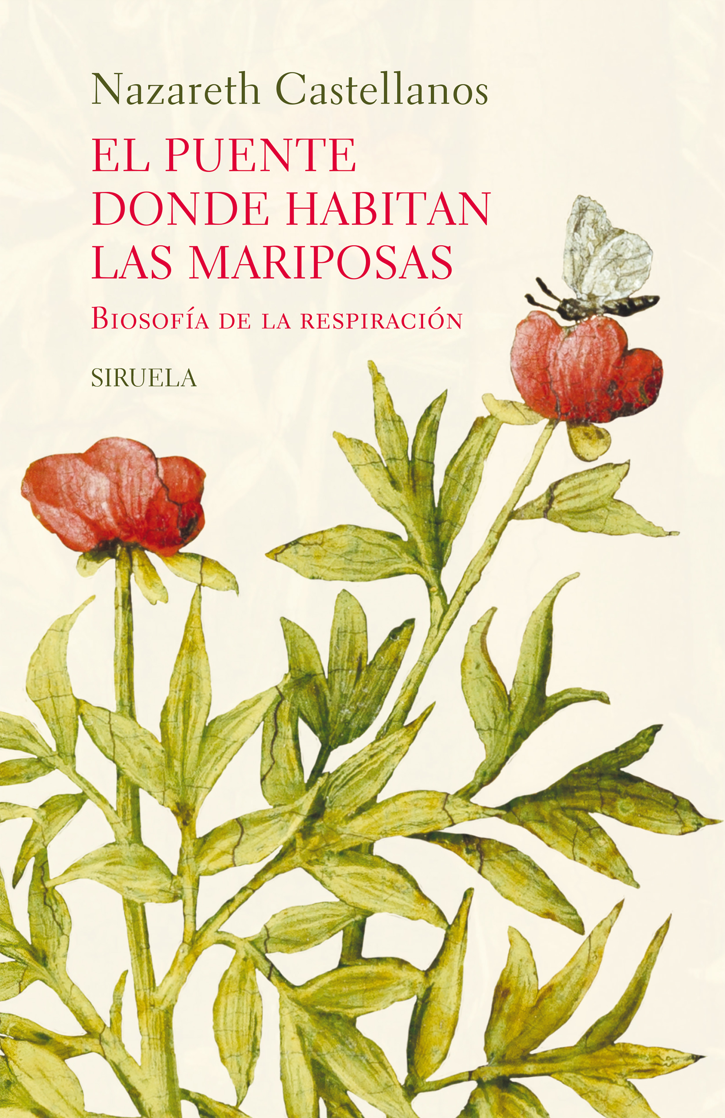 El puente donde habitan las mariposas. 9791387688219