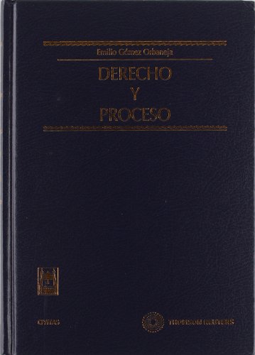 Derecho y proceso. 9788447031887