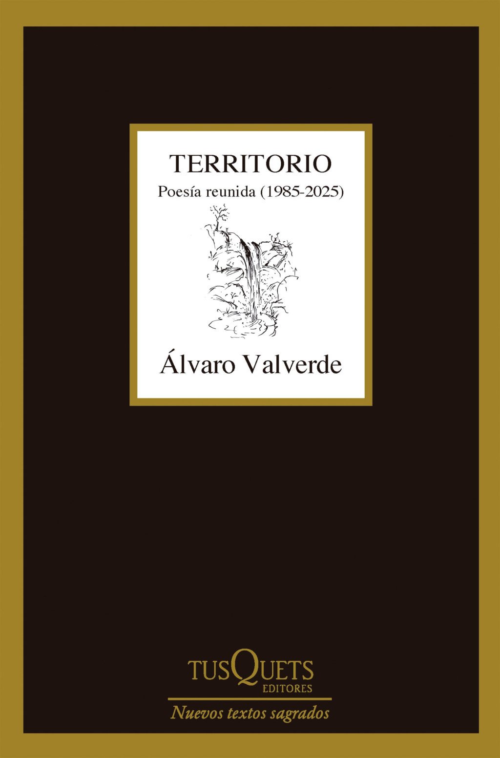 Territorio. 9788411077361