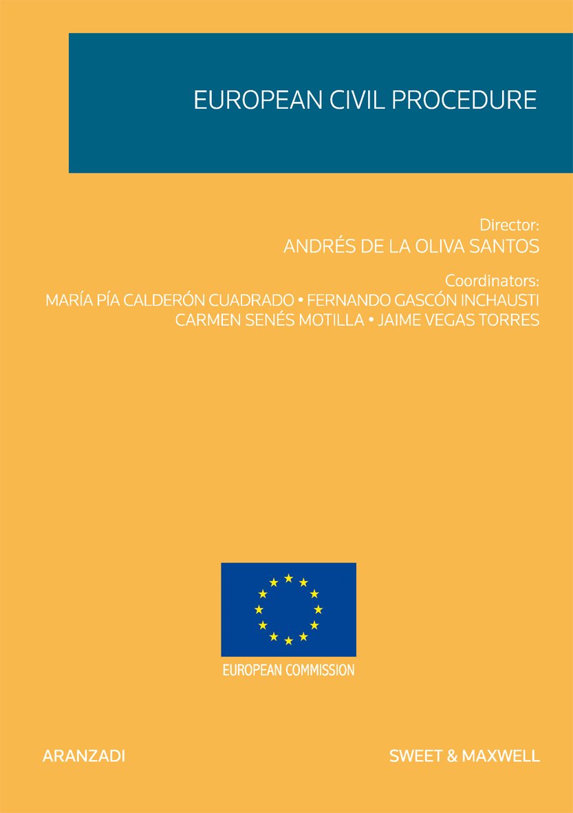European civil procedure. 9788499030173