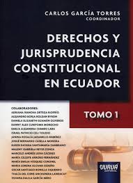Derechos y jurisprudencia constitucional en Ecuador. 9789899315105