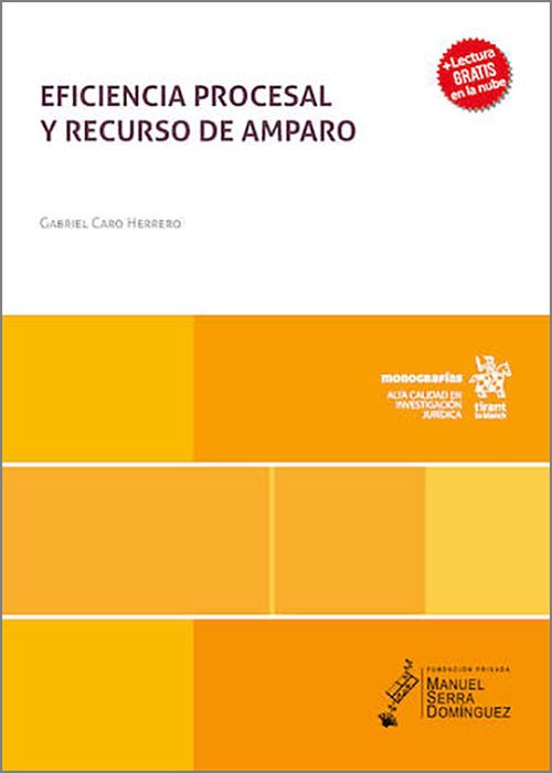 Eficiencia procesal y recurso de amparo. 9791370217075
