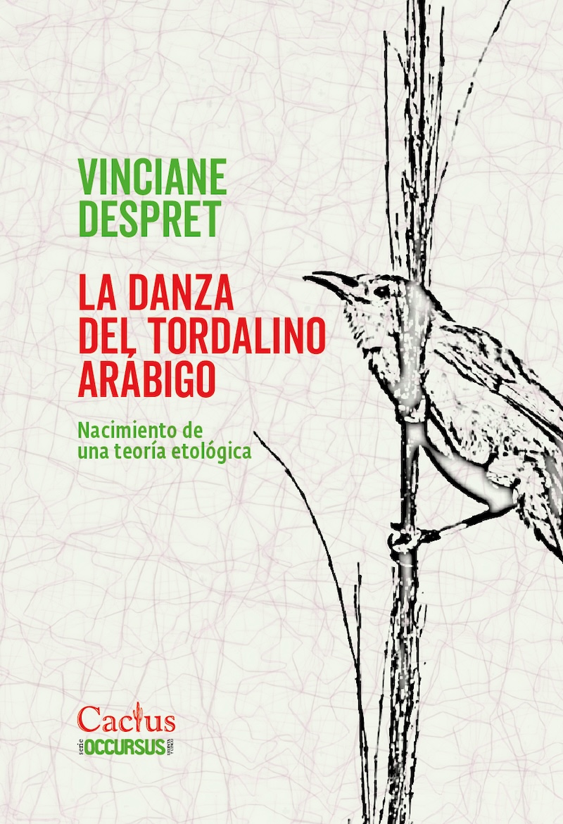 La danza del tordalino arábigo. 9786316714060