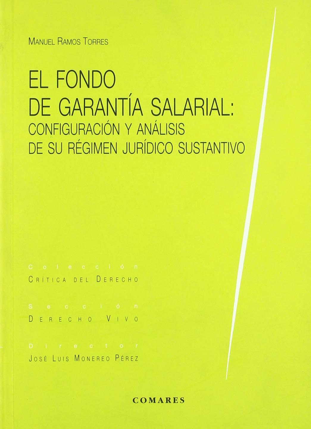 El Fondo de Garantía Salarial. 9788484440642