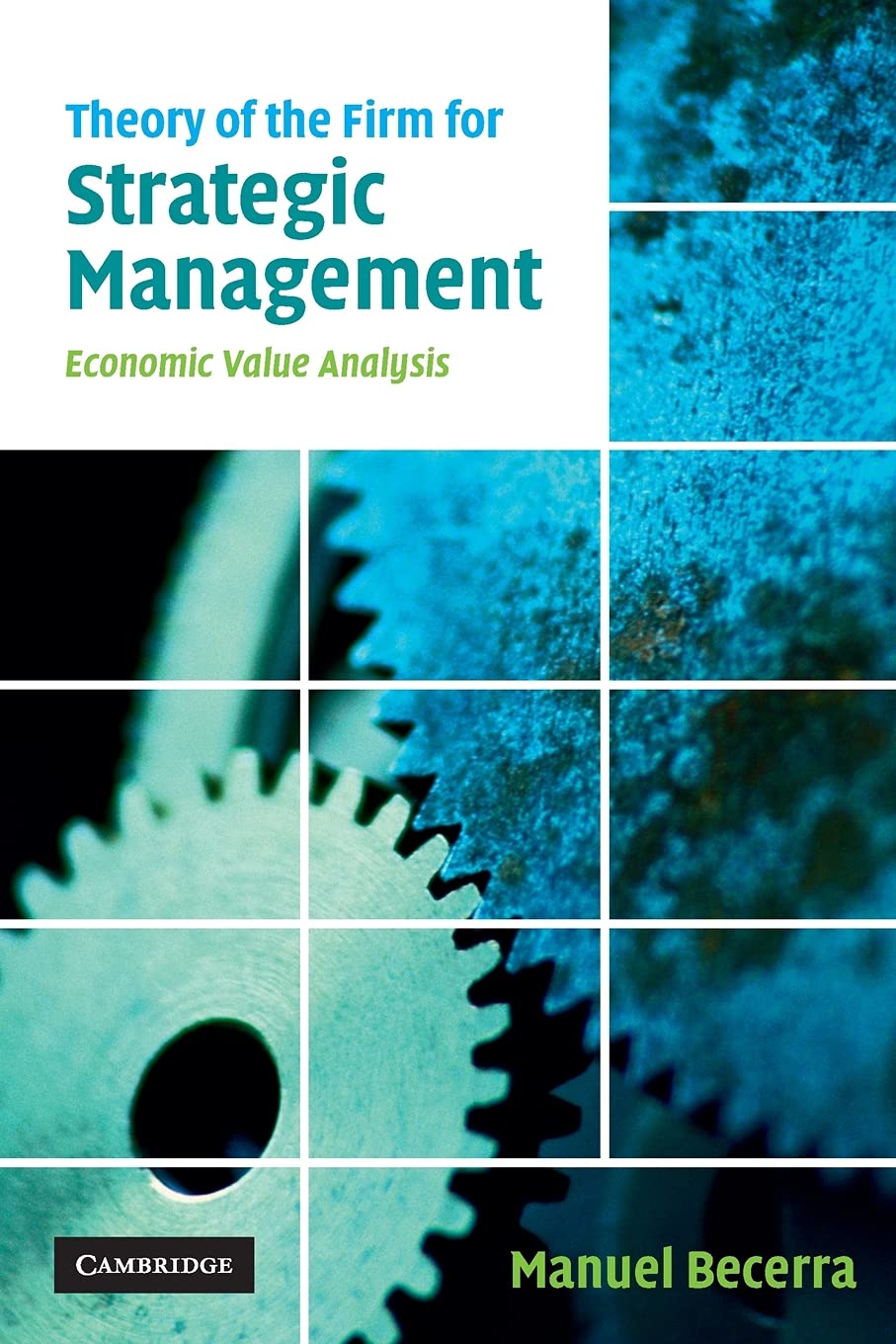 Theory of the firm for strategic management. 9780521681940