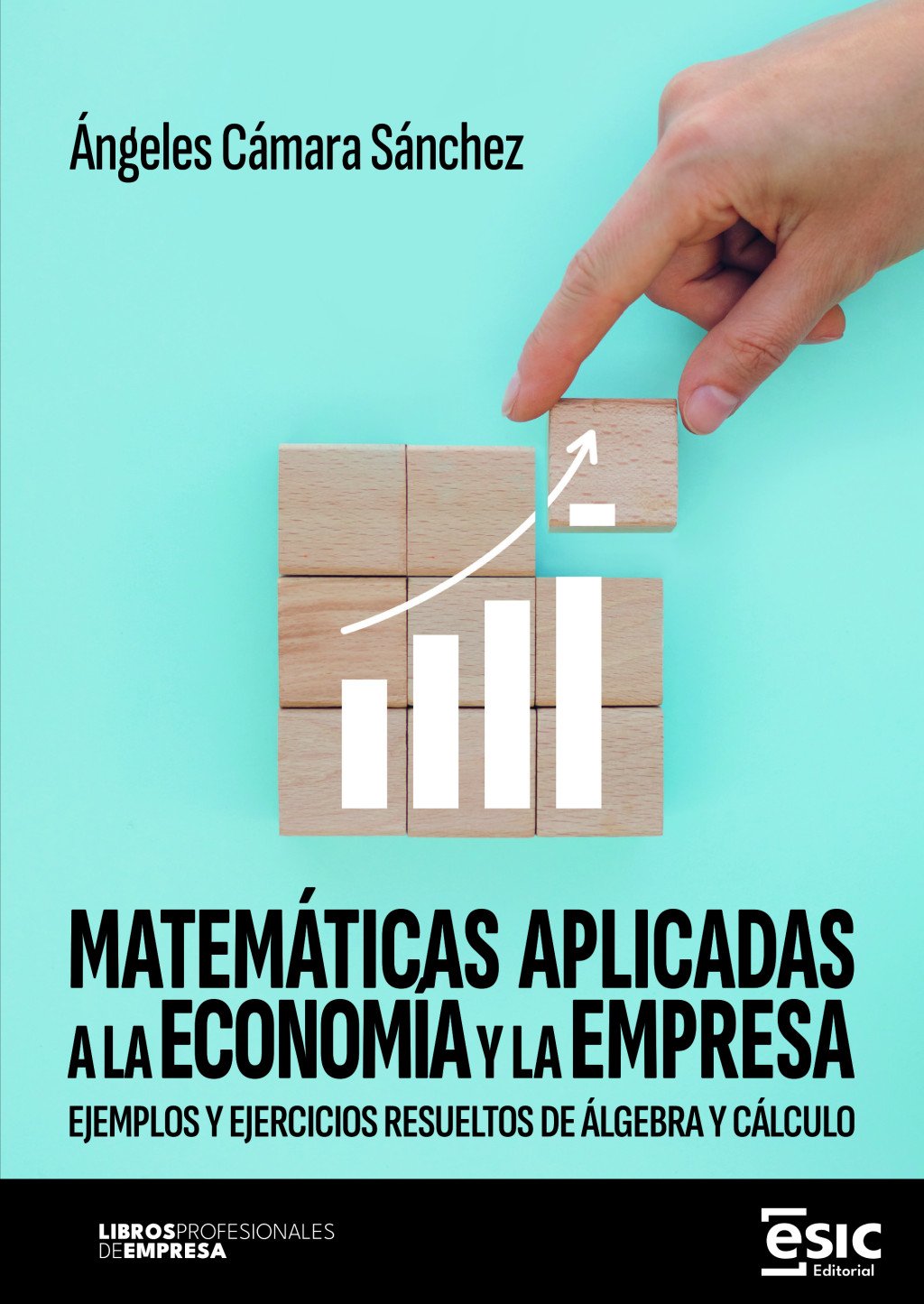 Matemáticas aplicadas a la economía y a la empresa. 9788411922715