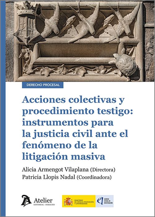 Acciones colectivas y procedimiento testigo. 9791388250507