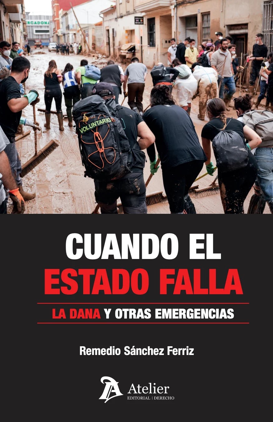 Cuando el Estado falla: la DANA y otras emergencias. 9791388250972