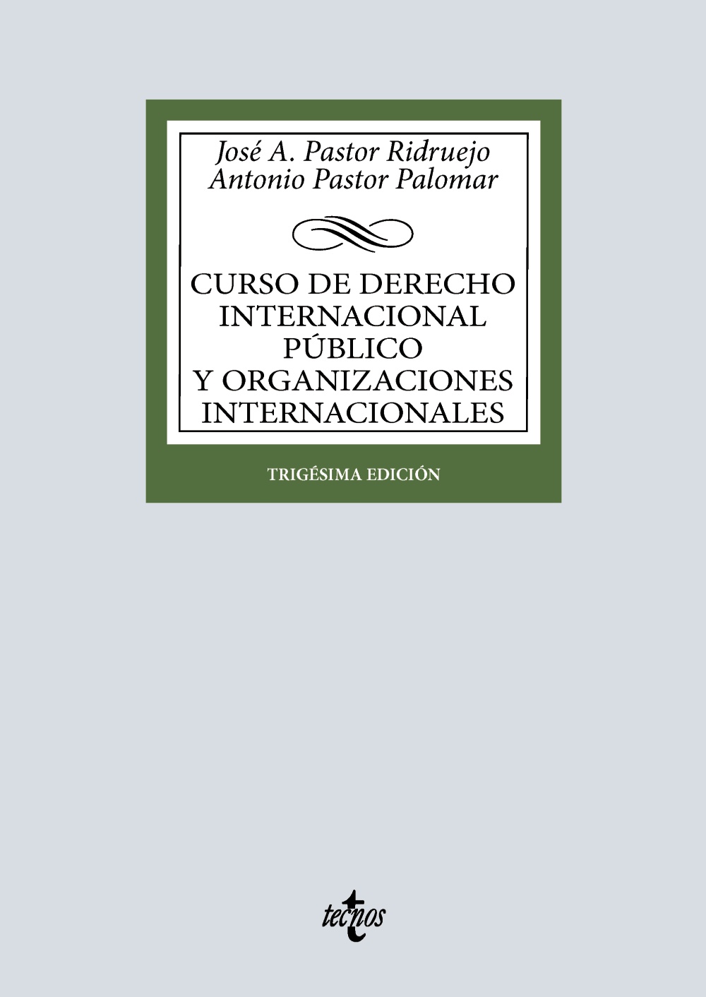 Curso de Derecho Internacional Público y de Organizaciones Internacionales. 9788430994588
