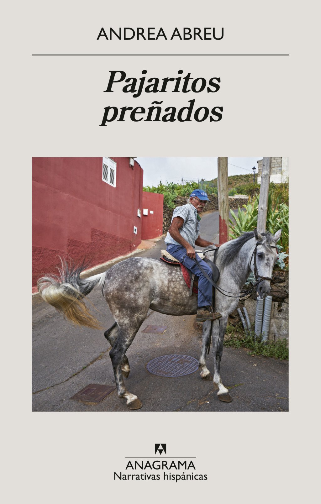 Pajaritos preñados. 9788433950819