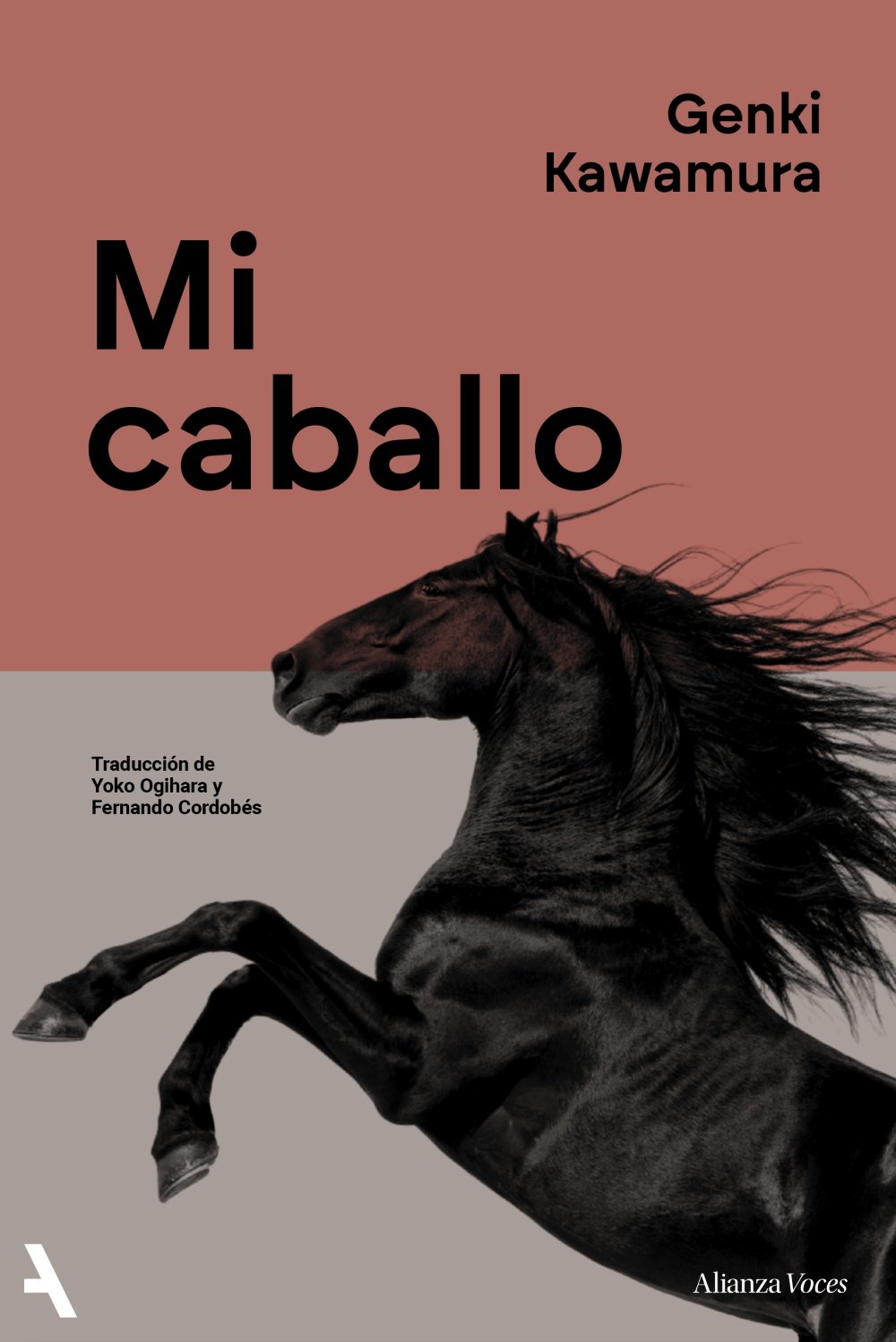Mi caballo. 9791370093006