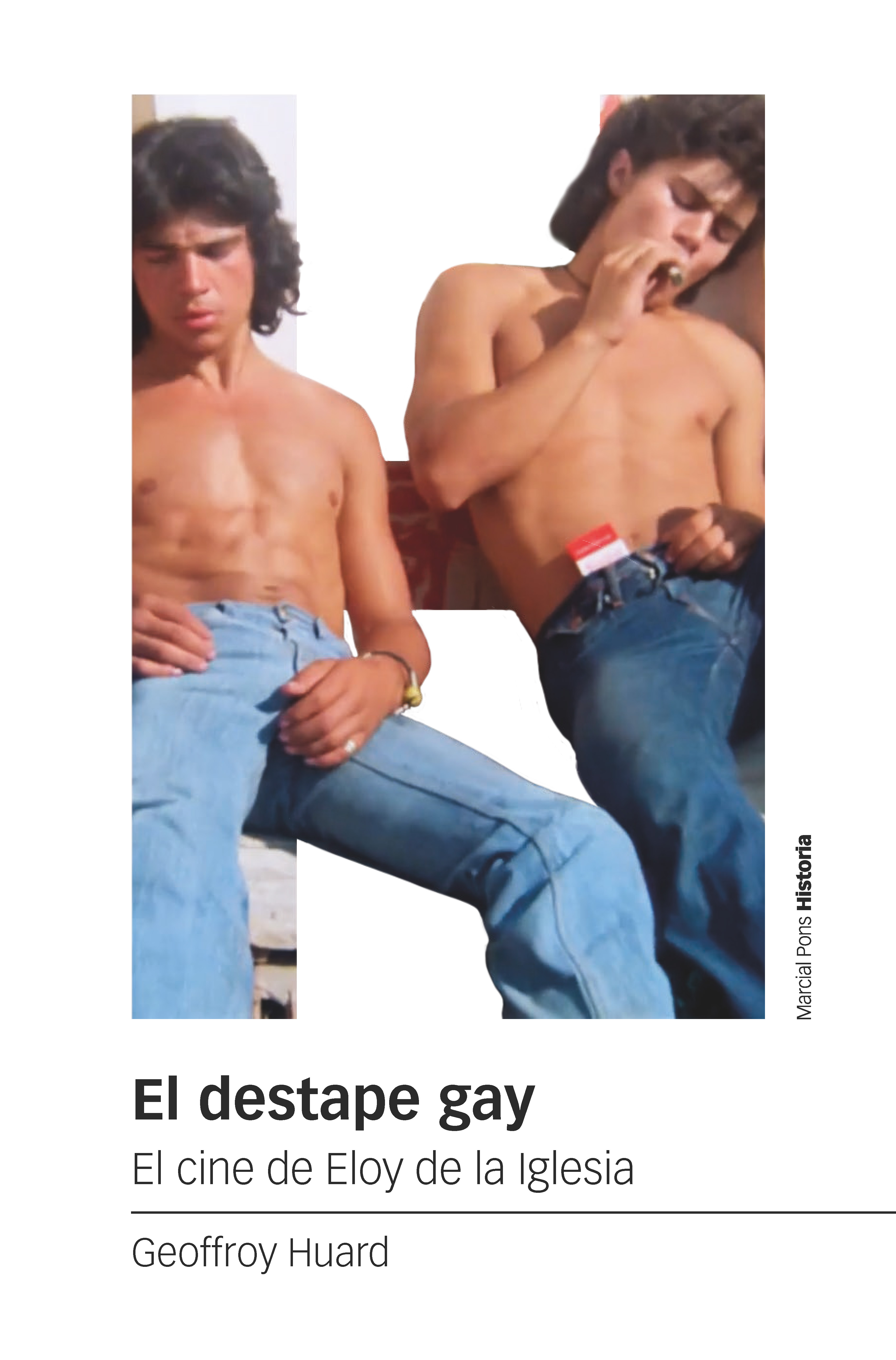 El destape gay. 9788419892799