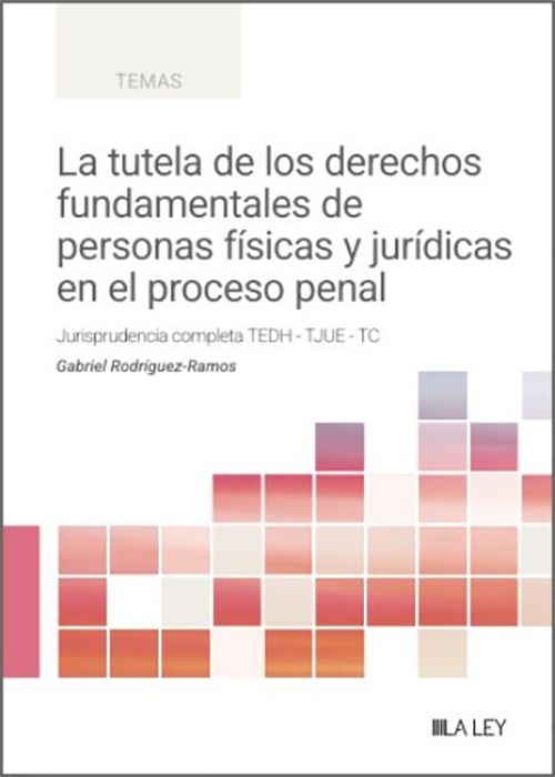 La tutela de los derechos fundamentales de personas físicas y jurídicas en el proceso penal