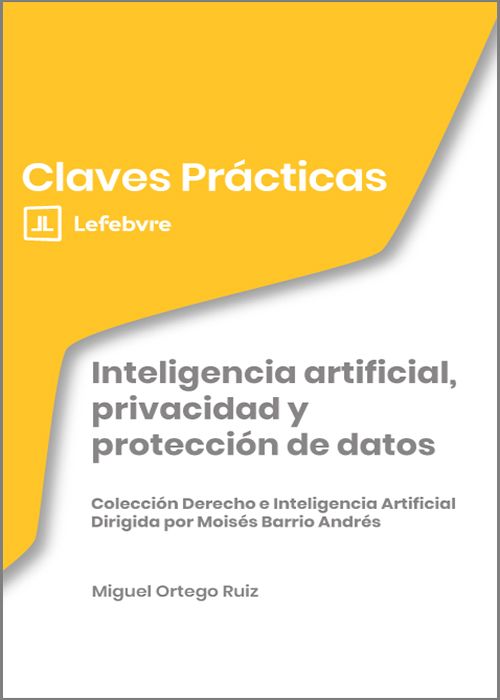 Inteligencia Artificial, privacidad y protección de datos. 9791388366024