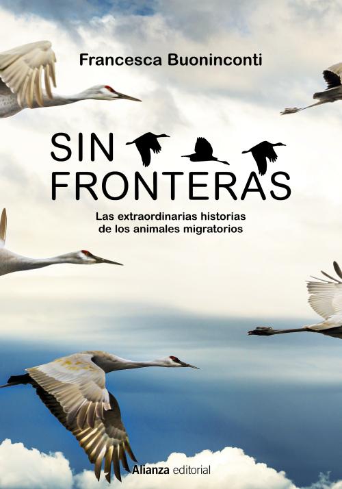 Sin fronteras. 9788413625300