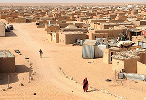Libros para entender: "El sahara occidental"